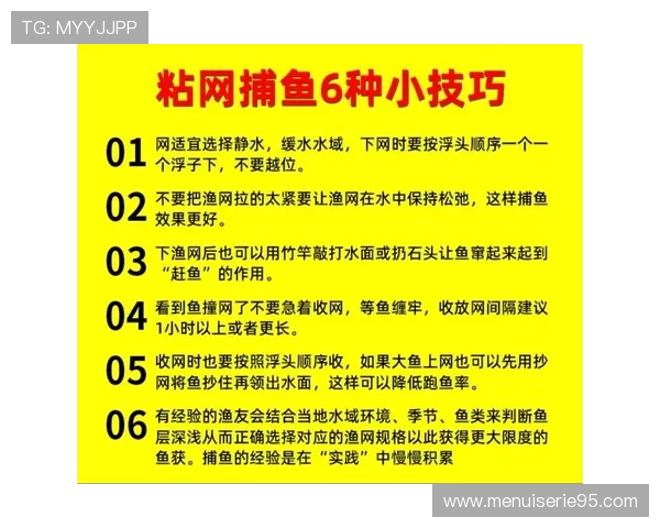 如何在K8捕鱼网投中实现稳定盈利的实用技巧分享
